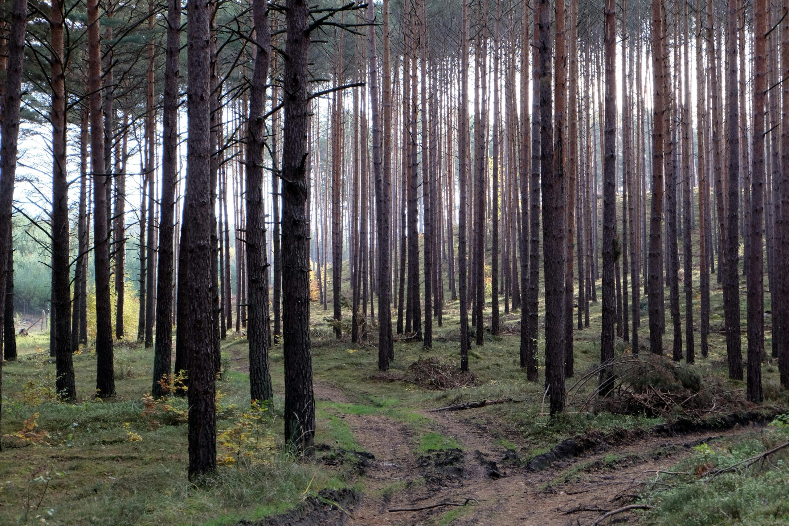 Zdjęcie do artykułu: Gdzie uciec od tłumów w Polsce? 10 spokojnych miejsc